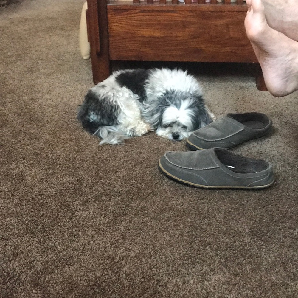 Meet your Posher, Chrissy